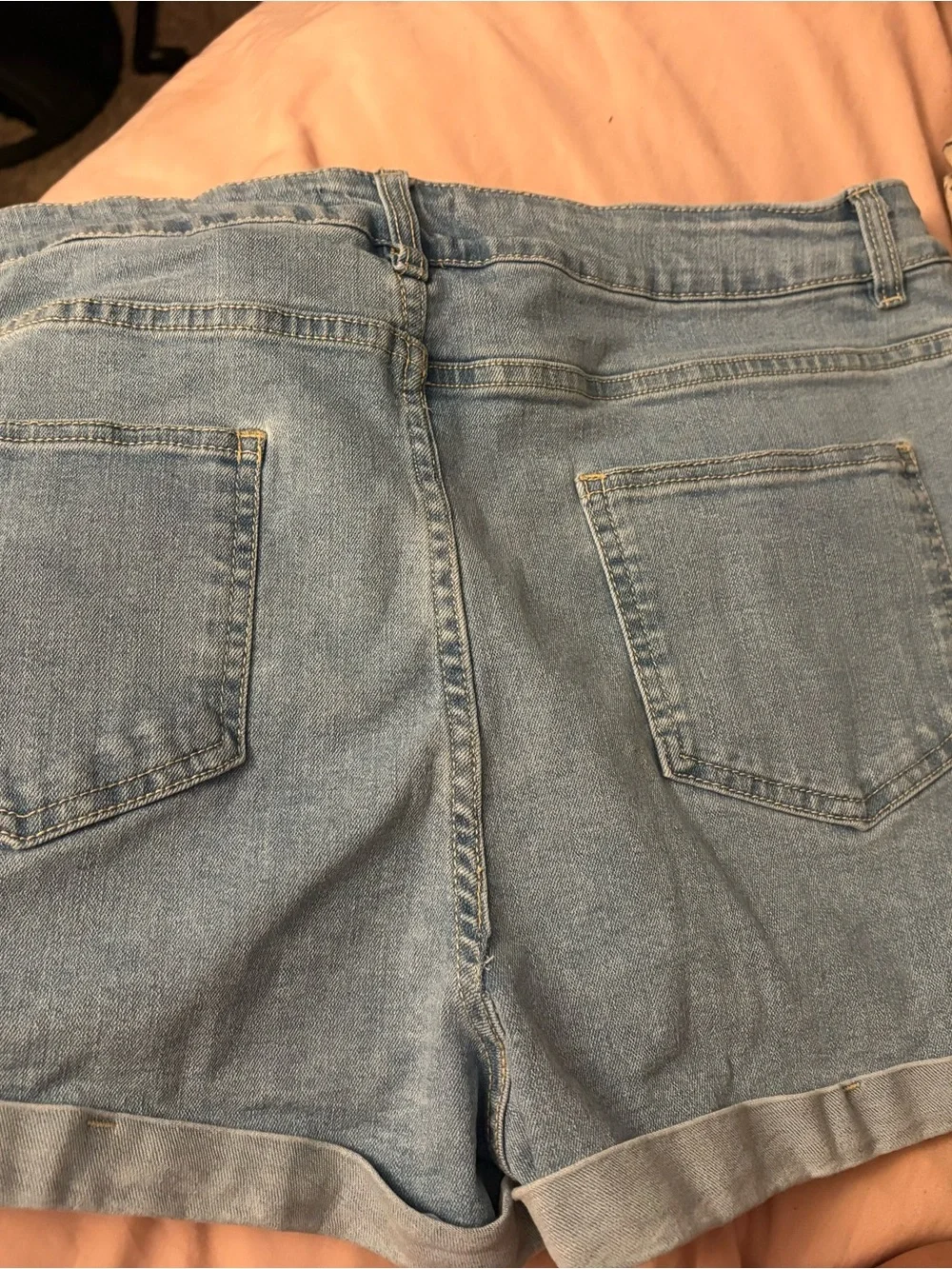 Light Blue Embroidered Cherry Denim Shorts